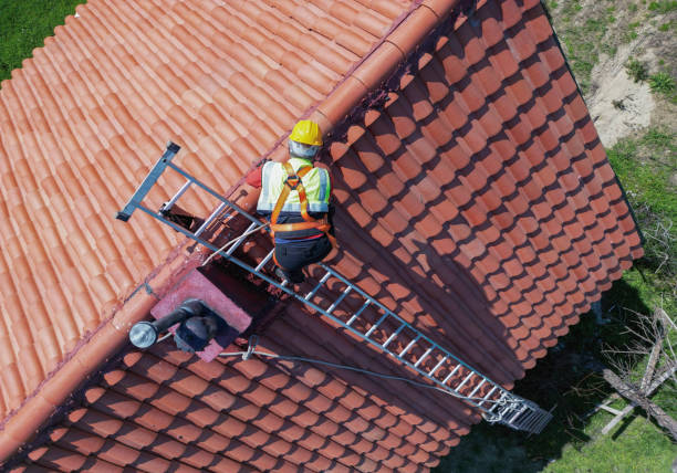 Best Roof Moss and Algae Removal  in Rainbow Lakes Estates, FL