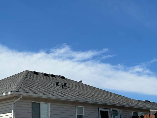 Best Gutter Installation and Repair  in Rainbow Lakes Estates, FL